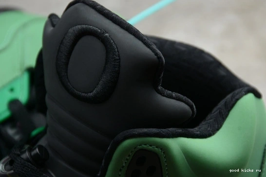 5 RETRO CK6631-307 SE OREGON CK6631-307 AIR JORDAN 0513